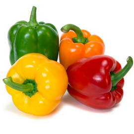 greenhouse-bell-peppers