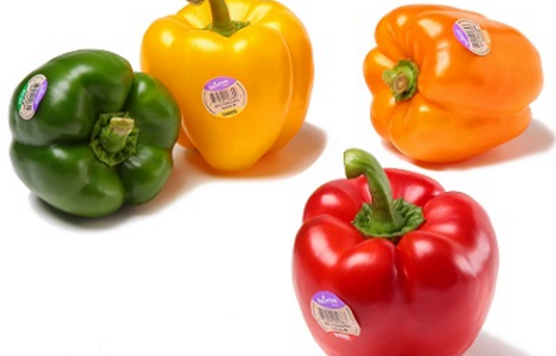 Organic Bell Peppers